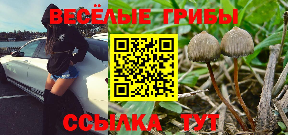 где можно купить наркотик  Вход с VPN  Белая Калитва  Галлюциногенные грибы GOLDEN TEACHER 
